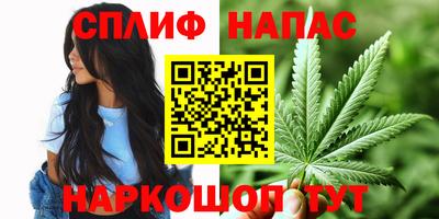 mdpv Заводоуковск