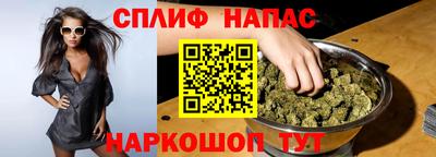 mdpv Заводоуковск
