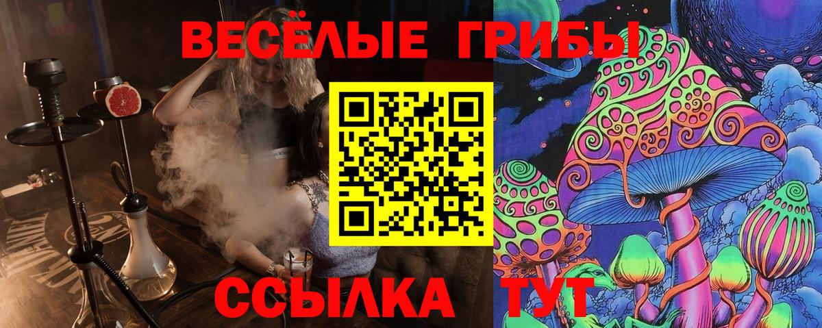 Галлюциногенные грибы мицелий  Вход с VPN  Буйнакск 