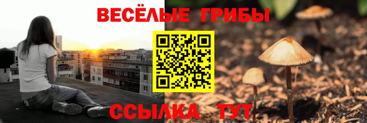 Галлюциногенные грибы прущие грибы Буйнакск